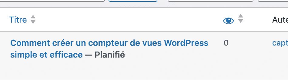 Interface admin WordPress avec colonne compteur de vues