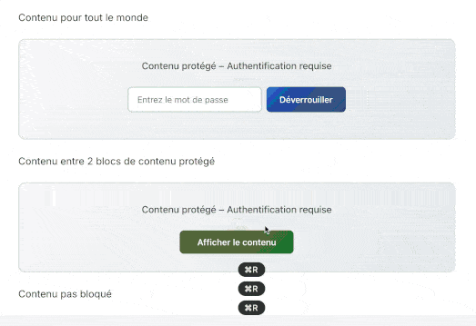 Résultat du block WordPress affichage conditionnel avec IA complet : front